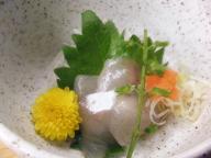 北千住　居酒屋　大はし　コチ刺身