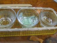 福島　居酒屋　たこ寅　飲みくらべセット