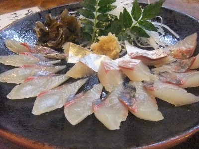 益田　居酒屋　田吾作　鯵刺身