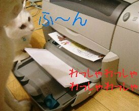 プリント中・・・