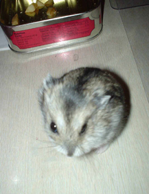 050131 007.jpg