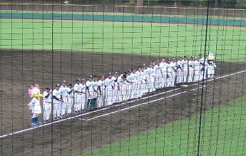 20080918あじさい整列