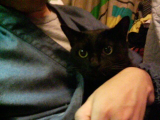 いたくしにゃいでね