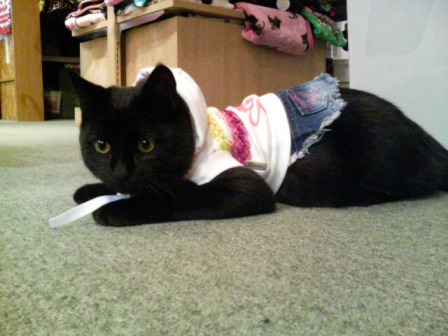 ぼく、男子です