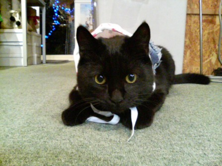 スカートはありえませんからっ！