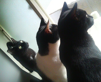 第一の問題は？