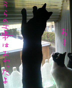 遠くまで慎重に見極めます