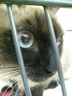 たすけてくださ～い