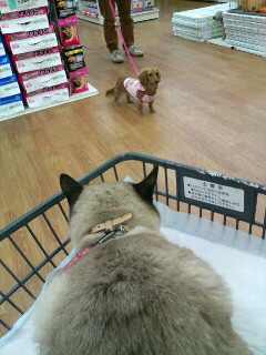 お互い、フリーズちゅう！