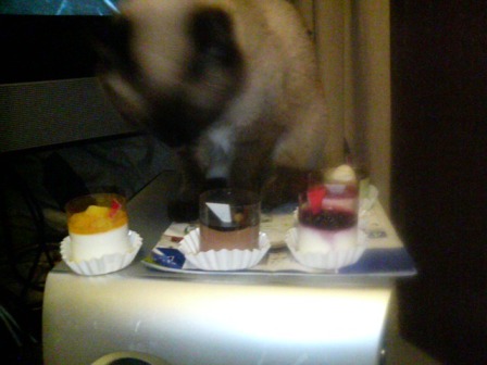 チェリン、チェック中２！