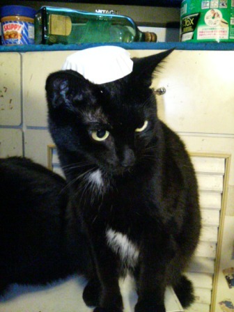 クロスで遊ぼう！