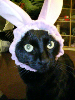 へんなひとがいる～