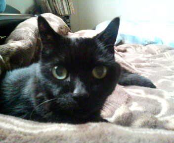 くろころちゃん、アップ