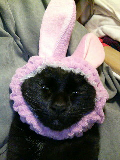 あっちいくでしゅ