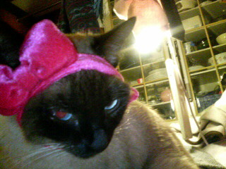 めいわくだつーの