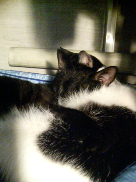 だれとだれ？？？