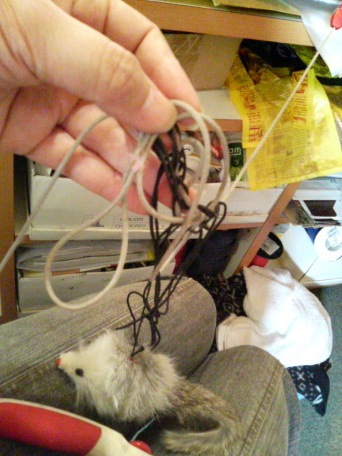 からまりました