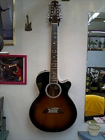 タカミネ　１２弦ギター