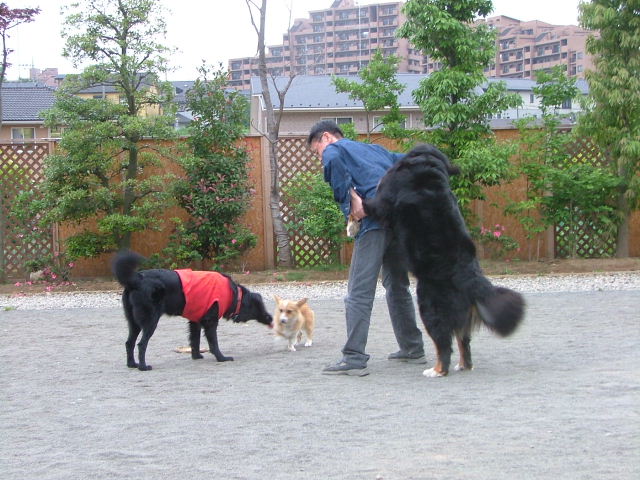 2006_0603画像0055.JPG