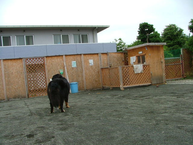 2006_0720画像0012.JPG