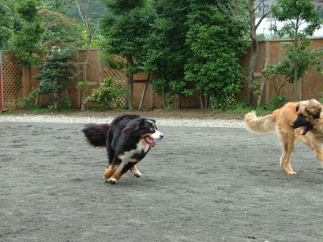 2006_0720画像0017.JPG