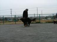 2006_0318画像0002.JPG