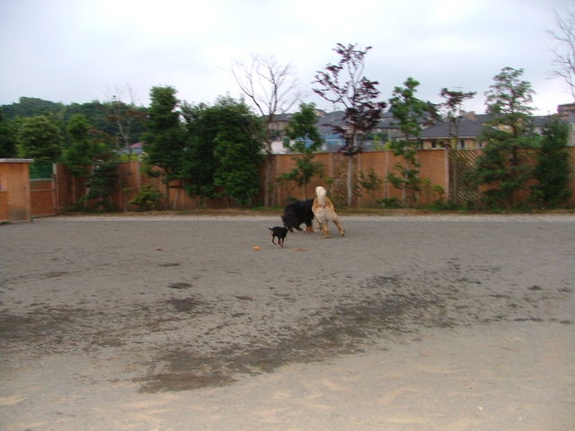 2006_0708画像0071.JPG