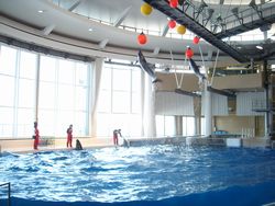 ３歳お祝い水族館4