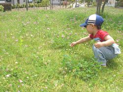 お花公園1