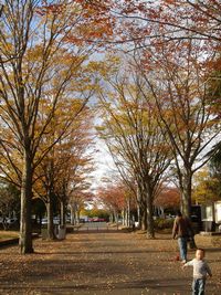 運動公園の紅葉その２