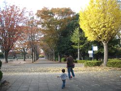 運動公園の紅葉その３