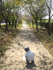 秋の遊歩道