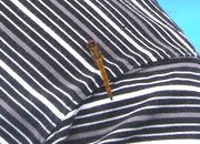 200807那須ハイ13