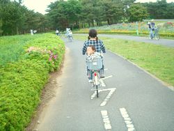 １０年ぶりの自転車