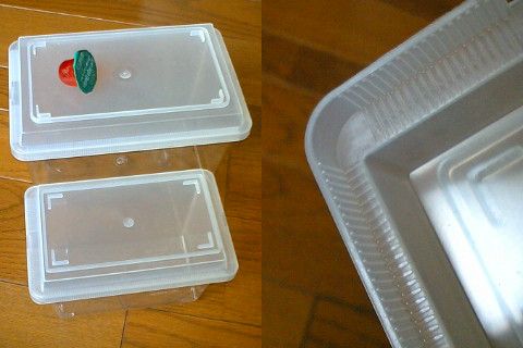 飼育ケースの蓋