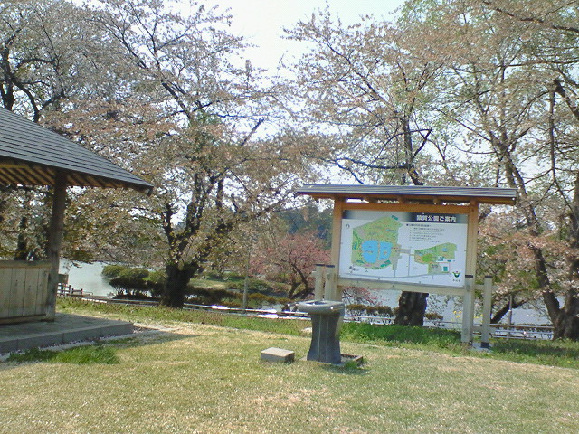 200804261148000.jpg