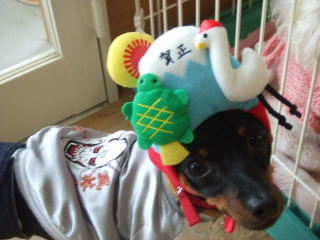 2006_11120011.JPG