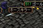ほーす１.JPG