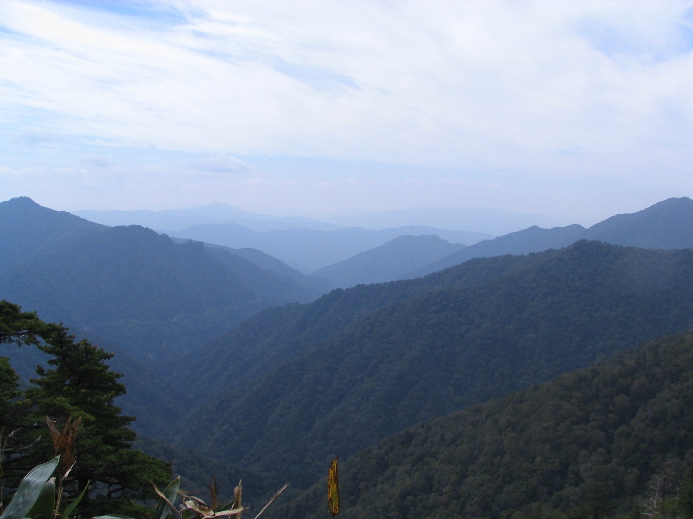 石鎚山 その３ 四国山地の山なみ 助手席で口出し 楽天ブログ