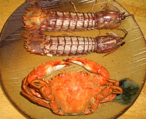 シャコエビと石ガニ