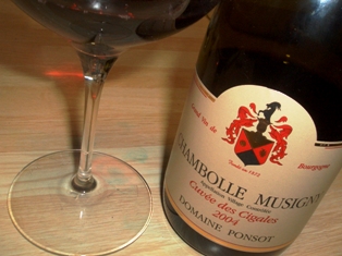 ponsot 003.jpg