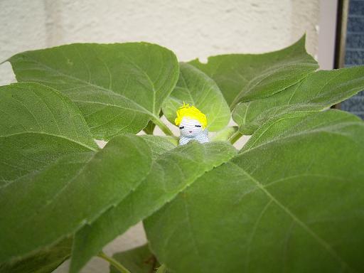 ひまわりの妖精