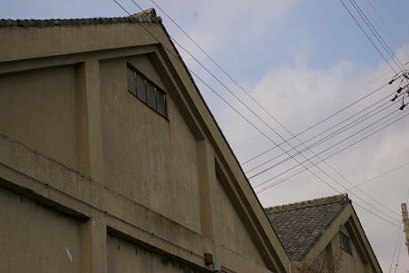 IMGP3240-2.jpg
