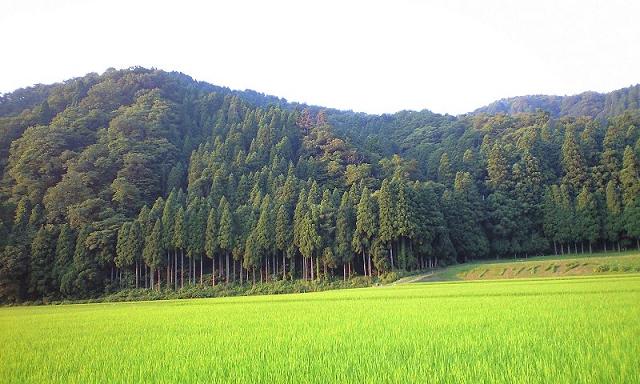 池田の風景.JPG