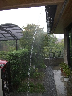 大雨