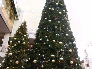 061217_1600~02ツリー１.jpg