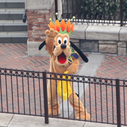 プリマヴェーラプレビュー