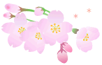 sakura_018.gif