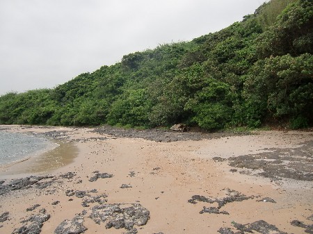 二つ目の海岸２
