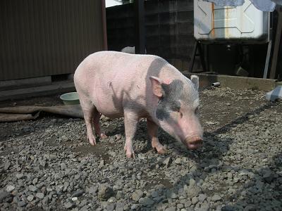DSCN5726.JPG